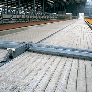 Кыкты тазалоочу кыргыч