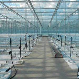 Автордун көзөмөлү