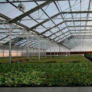 Рабочая документация