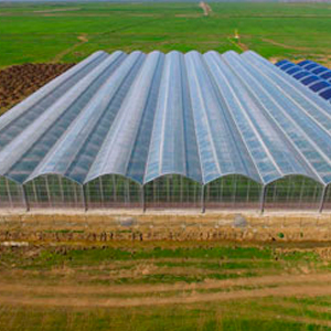 Техникалык-экономикалык негиздеме