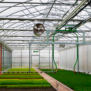 Микроклимат жана сугатты көзөмөлдөө