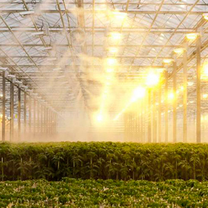 Өнөр жай күнөсканасы үчүн кошумча жарыктандыруу системасын автоматташтыруу