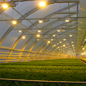 Кошумча жарыктандыруу жана авариялык түшүрүүнү башкаруу системасы