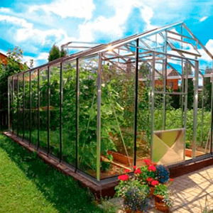 Теплицы стеклянные садовые и дачные из алюминия