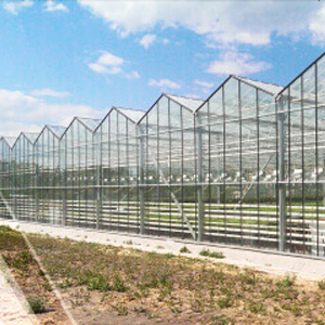 256 м2 VENLO тибиндеги ферма күнөсканасы