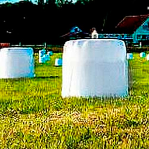 Силос таңгактоо үчүн рулондордогу сунуучу пленка